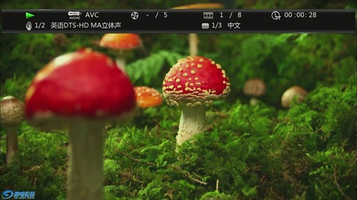 先锋BDP-140 DVD/3D蓝光播放机 ABC越狱全区 