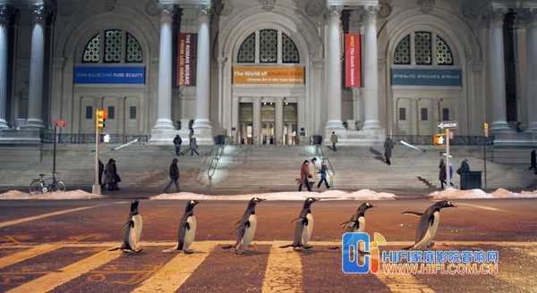 波普先生的企鹅