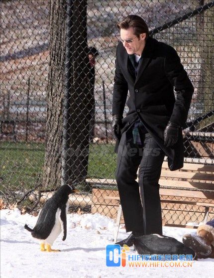 波普先生的企鹅