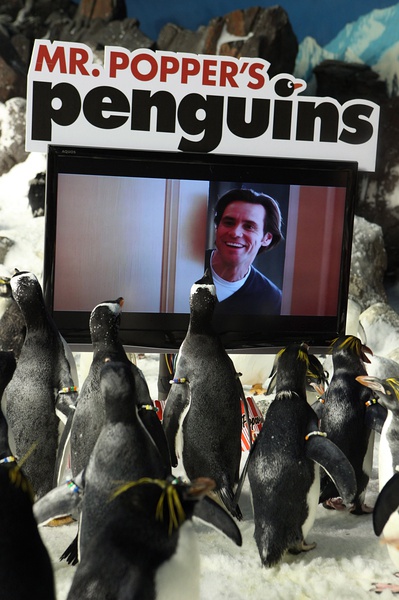 波普先生的企鹅