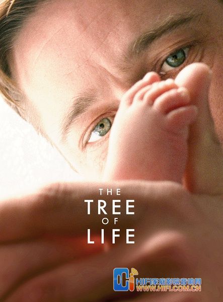 生命之树